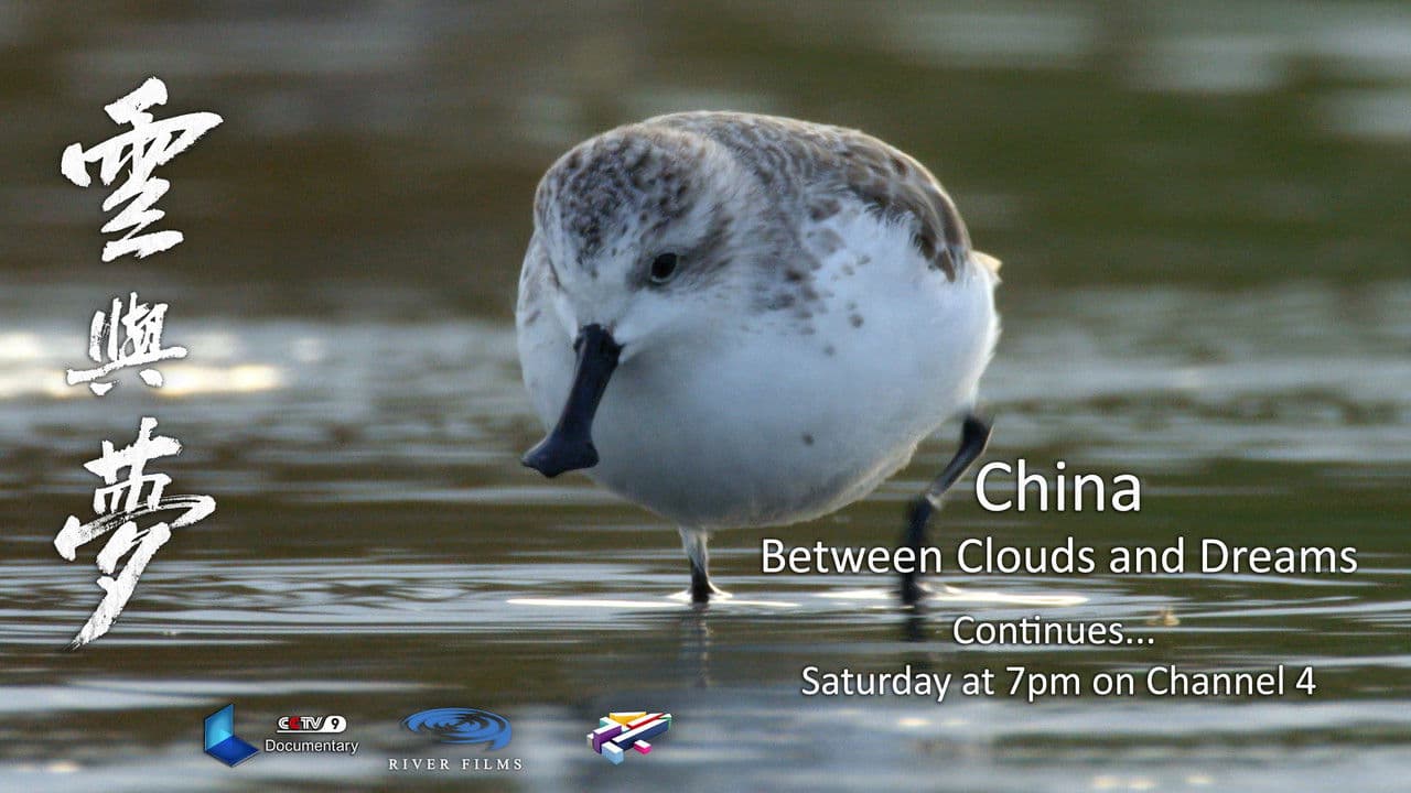 China: Between Clouds and Dreams